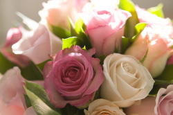 ����C���[�W