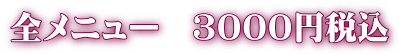 全メニュー　３０００円税込