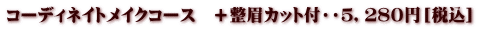 コーディネイトメイクコース　＋整眉カット付・・５，２８０円［税込］